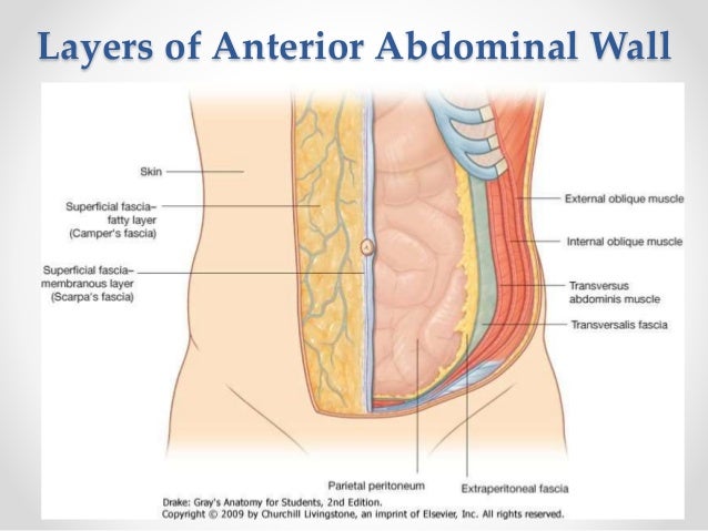 Surgery of the Abdominal Wall